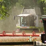 Feriengut Gaarz - Im Park 3 *