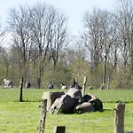 Daire Feriengut Gaarz - Im Park 3 *