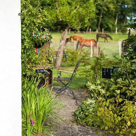 Feriengut Gaarz - Im Park 3 Gohl