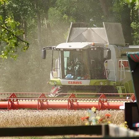 Feriengut Gaarz - Im Park 3 *