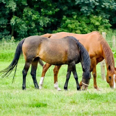 Feriengut Gaarz - Im Park 3 Apartament