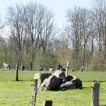 아파트 Feriengut Gaarz - Im Park 3 *