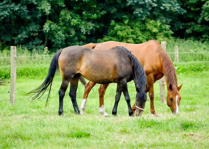Feriengut Gaarz - Im Park 3 Appartement